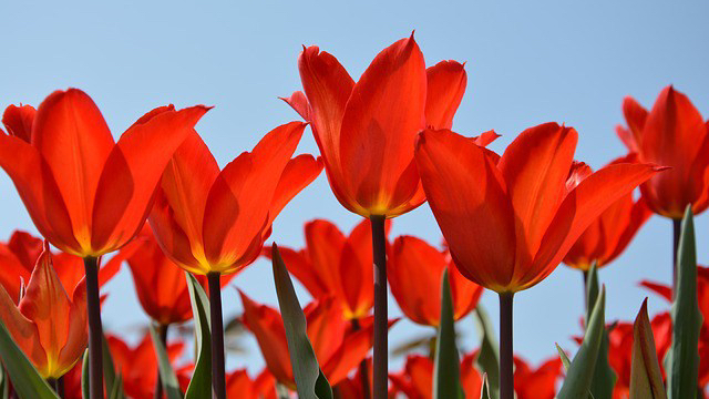 Poem in Envoi&nbsp;178