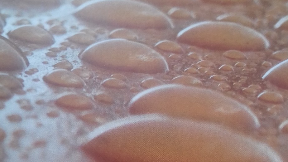 Poem in Brittle Star Issue&nbsp;43