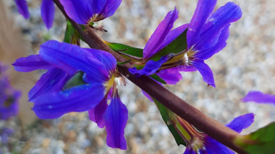 Teaching at City&nbsp;Lit