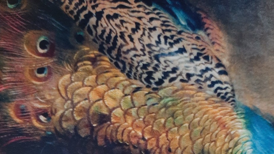 Poem in Poetry&nbsp;Birmingham