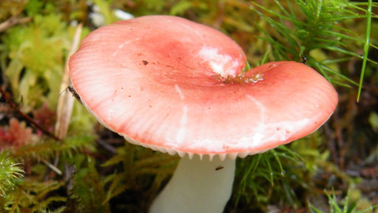 Pamphlet to be published by The Emma Press in&nbsp;2022