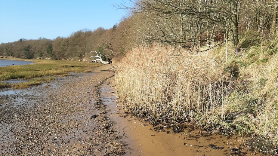 The writing year&nbsp;ahead